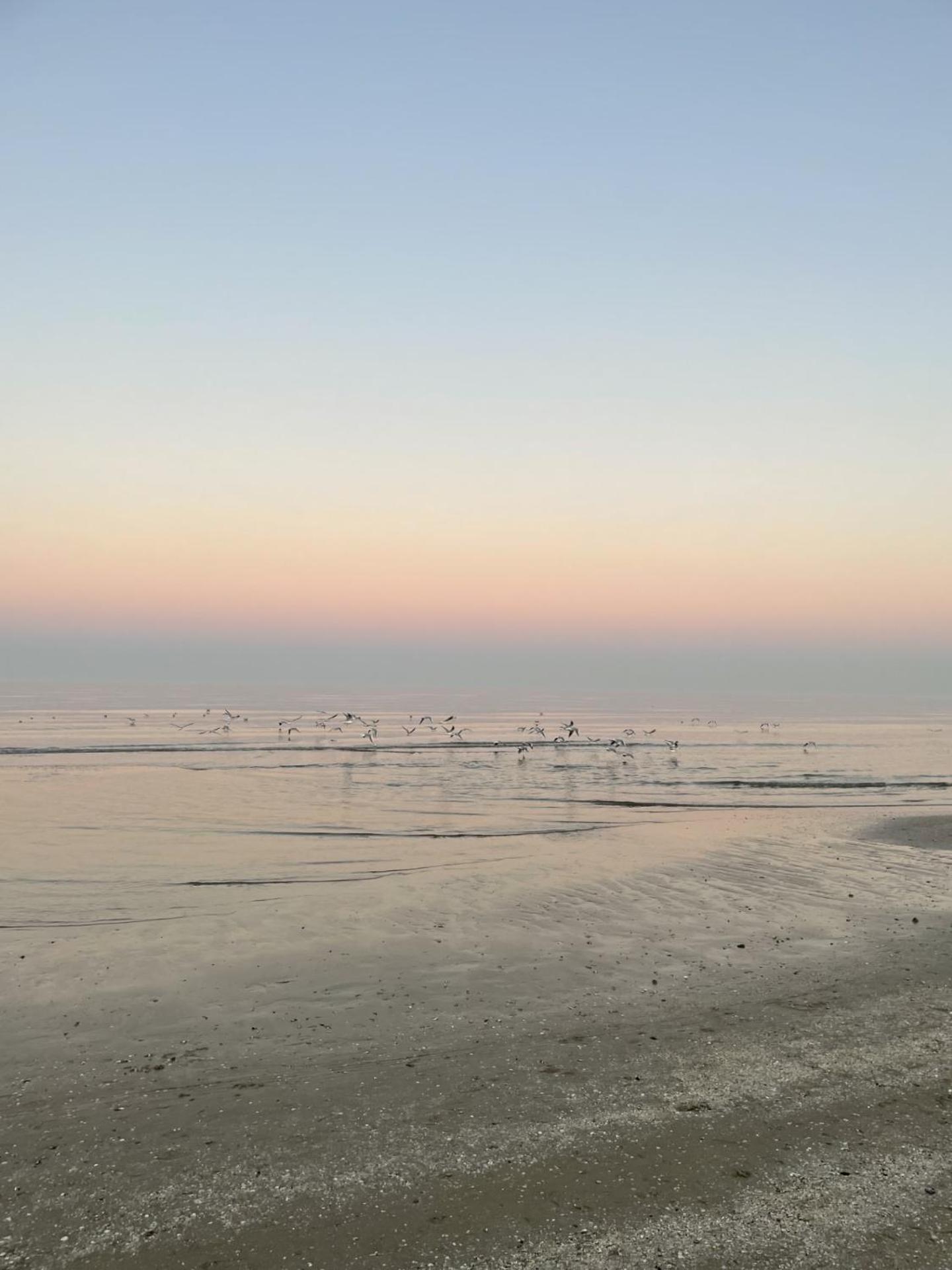 Hotel Napoleon Riccione Bagian luar foto