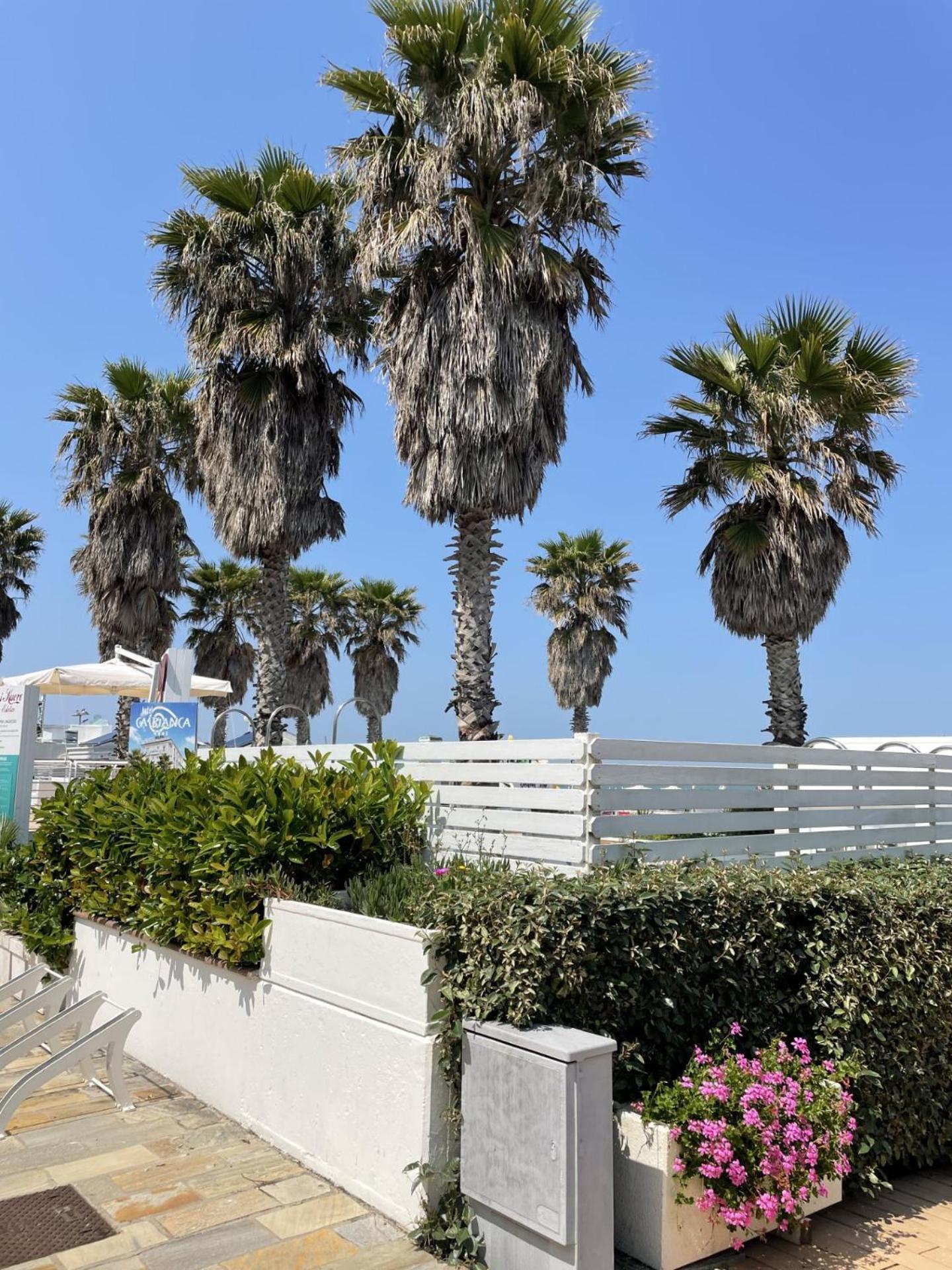 Hotel Napoleon Riccione Bagian luar foto